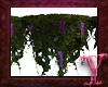 Hanging Plant, Purple 