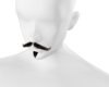 moustache %