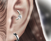 ear anti-helix