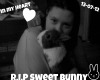 Rip sweet bunny ~