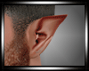 Wolf Ears