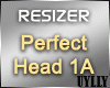UY- Perfect Head 1A
