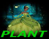 Princess  The Frog Plant