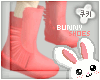 [Co] Bunny l Shoes P