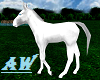 White Foal