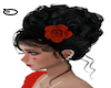 NM curly cepol