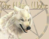 White Wolf Picture
