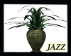 Jazzie-Ancient Plant