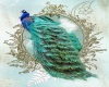Peacock Art Canvas