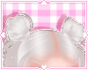 ❀. trudy | yuki