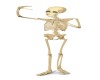 Single Skeleton