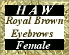 Royal Brown Eyebrows - F