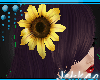 [J]SunflowerLeona