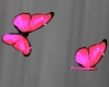 2 Pink Butterflies 