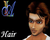 [AL]Male Dark Brown Hair