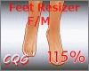 CG: Foot Scaler 115% F/M