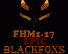 EPIC - FHM1-17