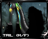 !F:Omni: Tail 3