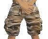 (D)Desert shorts