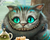 (m) Cheshire Cat tail