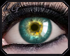 [LG] Eyes Tropic Sun