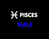 H@K Pisces Zodiac