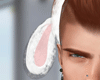 Rabbit eras