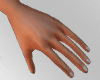 龍 Perfect Hands