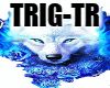 wolf ligths