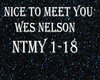 Nice to meet you