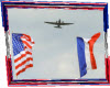 USA & PARIS FLAGS