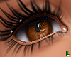 L| Brownie Eyes