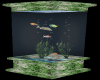  Ivy Fish Tank 