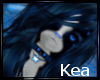 K!t- Kea Hair V2