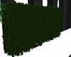 Dubai Hedges