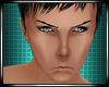 [LL] Lance Head