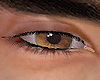 Asteri Brown Eyes