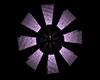 Purple Spin Light