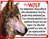 (PF)Wolf Fortune