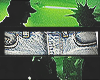 @PLUG @BB @SKATER