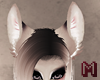 SILVER FOX Perky Ears