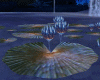 NA'VI Lotus Couple Poses
