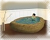 Golden Rock Hot Tub