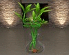 Aquarium Vase