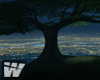 W | The Night Hill