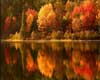 Autumn Leaves Lake