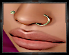 Gold Nose Piercings