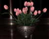[CI] Pink Tulip Floral
