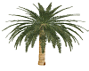 Palm Tree Light trunk