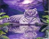 purple tiger sticker